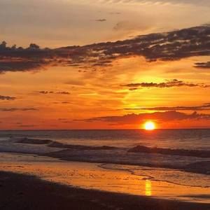 Meet your Posher, Sue